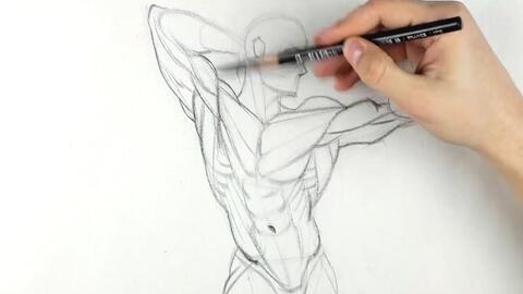 成人结构绘画教程视频