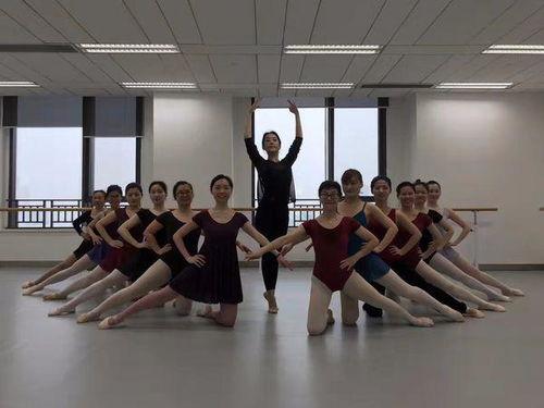 双桥成人舞蹈视频大全教学,轻松入门，舞动人生