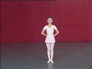 成人旱冰特技视频大全教学,从入门到精通的精彩教程