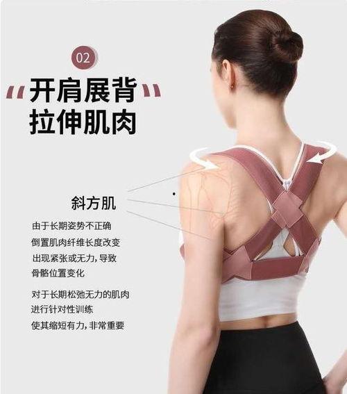 成人腰腹矫正视频大全,视频大全解析