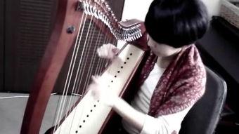 香港成人竖琴演奏视频欣赏,悠扬旋律中的东方韵味