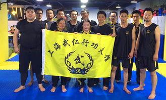 成人武术教学视频,成人入门必看技巧解析