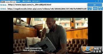 成人内部死VIP视频,一场惊心动魄的视觉盛宴