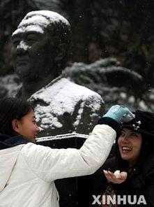 成人视频cow,探索成人视频Cow的激情与奥秘