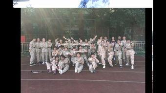 铁牛视频成人网,揭秘成人娱乐领域的新趋势与挑战