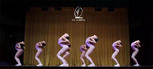 成人舞蹈智慧教学视频,成人舞蹈教学视频精华概述