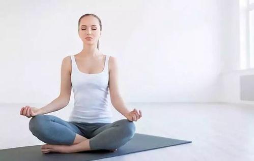 成人健身拳法教学视频大全,全方位掌握成人拳术技巧