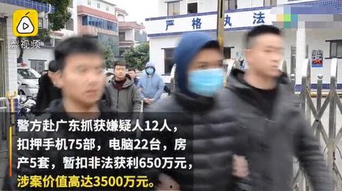 男生成人网站小视频下载,揭秘背后真相与风险