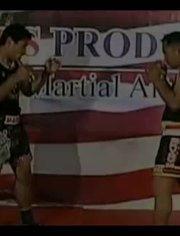 成人拳击泰拳教学视频大全,成人拳击与泰拳教学视频大全