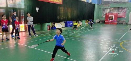 羽毛球成人考级视频,轻松掌握技巧，迈向高手之路